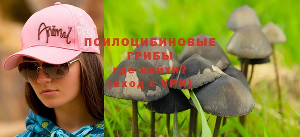 сатива Абинск