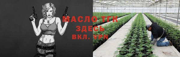 тгк Абаза