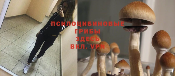 а пвп мука Абдулино