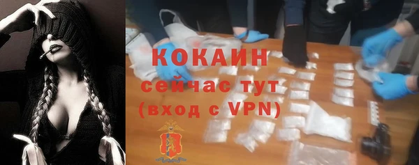 сатива Абинск