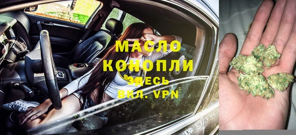 тгк Абаза