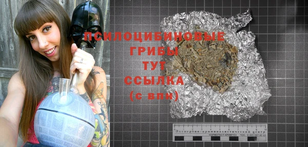 тгк Абаза