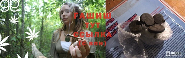 тгк Абаза