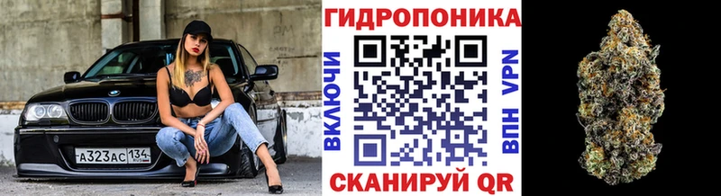 Шишки марихуана марихуана  Кириллов 